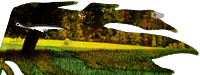 Terre ferme