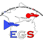 Qui est en ligne ?